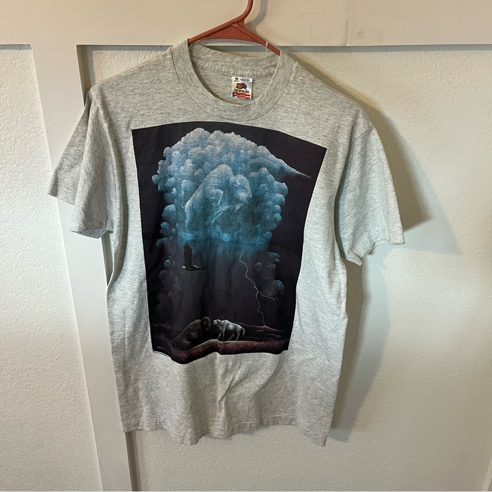 Vintage Fruit of the Loom Men's Medium 1995 Buffalo Artwork Single Stich T-shirt